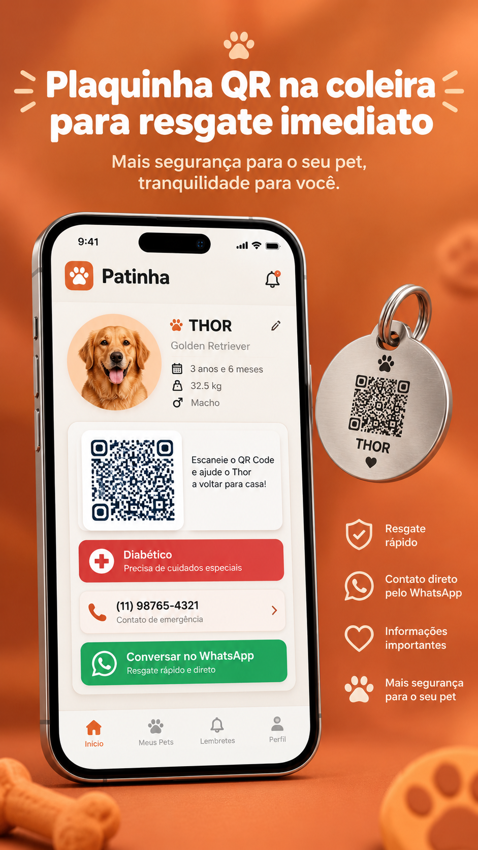 Plaquinha QR na coleira